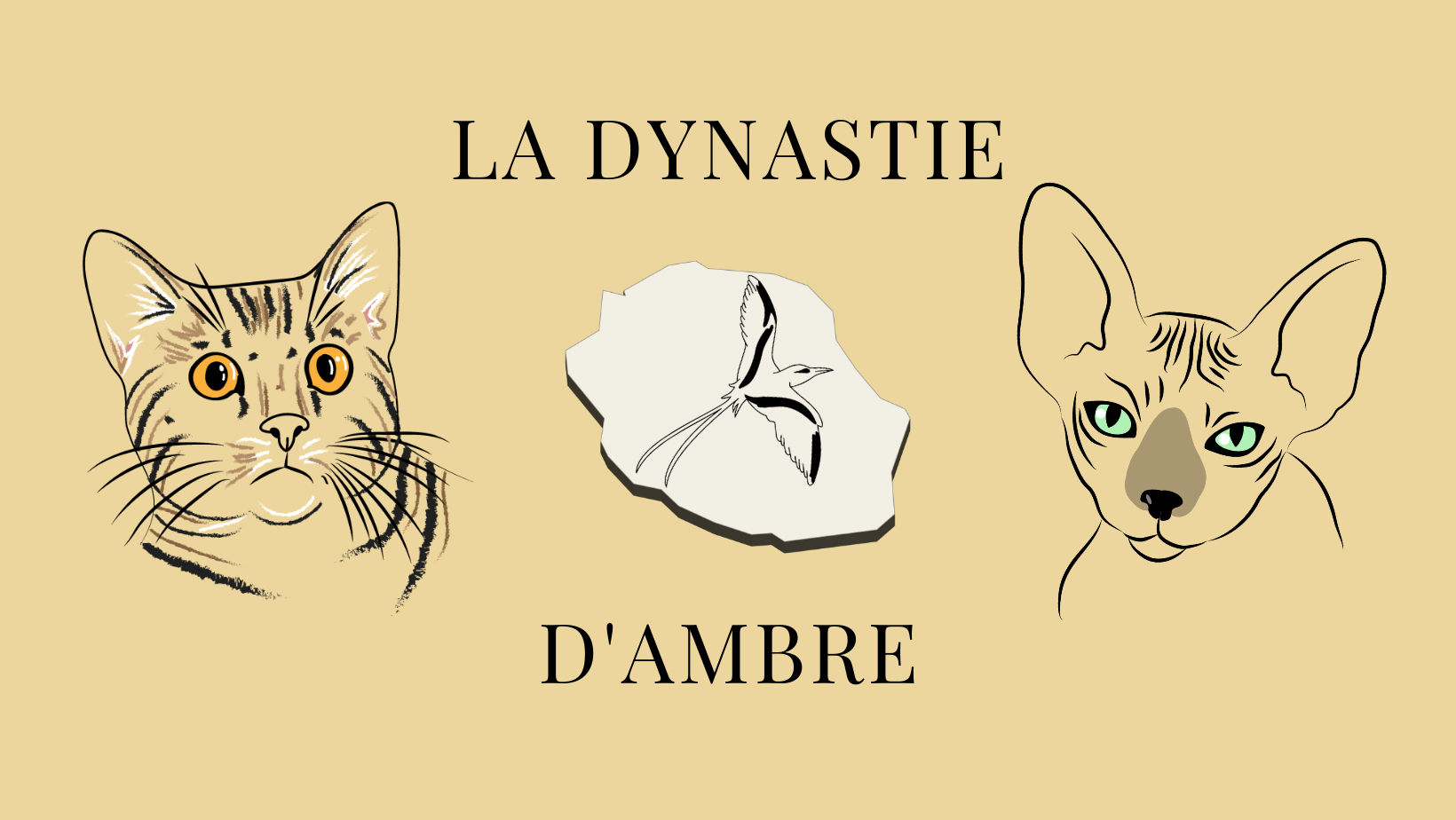 www.la-dynastie-d-ambre.re